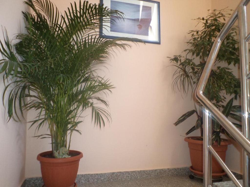 Apartments Batur Ζαντάρ Εξωτερικό φωτογραφία